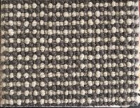 SISAL #11