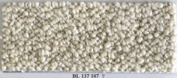 BL 137 107