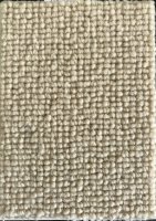 SISAL #13